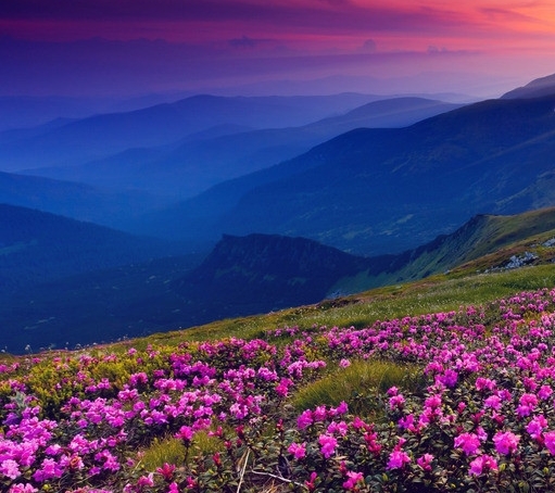 建行生活签到外卖红包