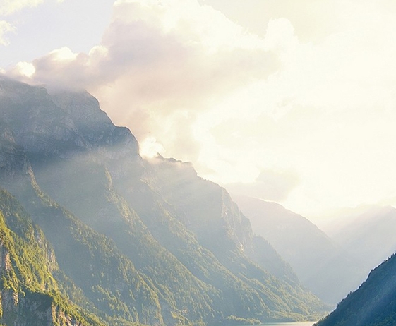 粉象生活是什么?