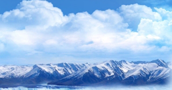 粉象生活最新情况