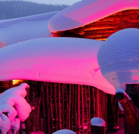 粉象生活加入需要哪些条件