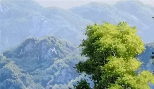 粉象生活下载
