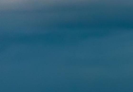 粉象生活赚佣金是真的吗