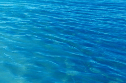 粉象生活创始人写id码325922