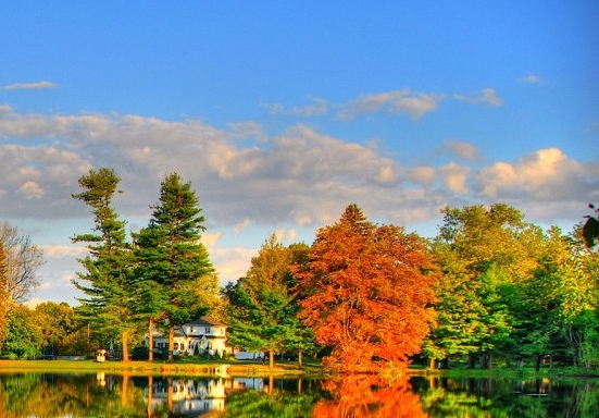 粉象生活合法吗