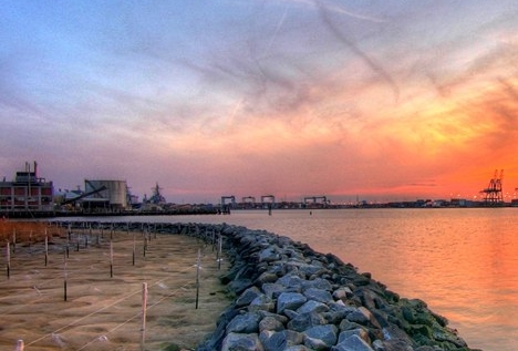 丽水选择粉象生活