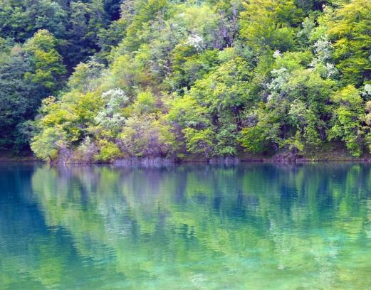 粉象生活开店铺怎么做