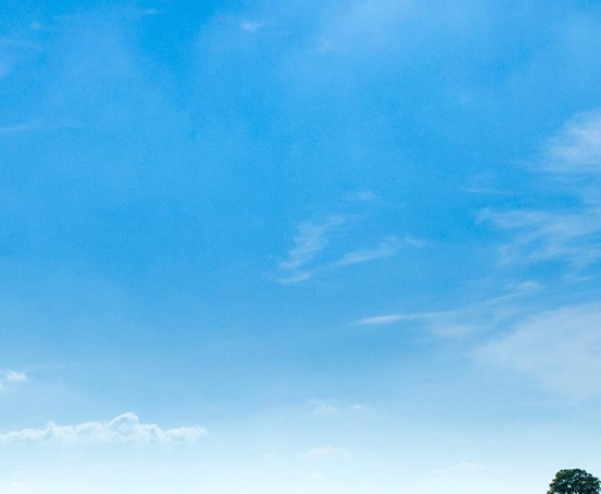 粉象生活下载app