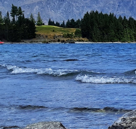 粉象生活是干嘛的APP