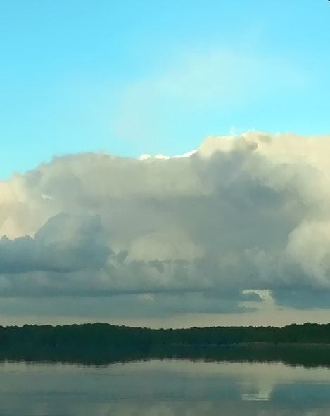 粉象生活里面的东西真吗