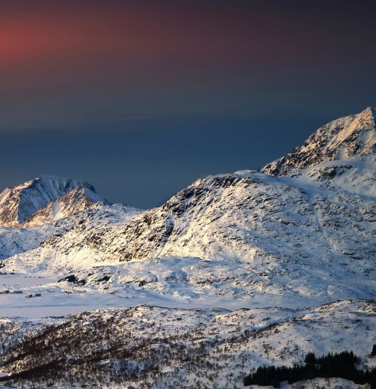 粉象生活的专属粉丝有什么用
