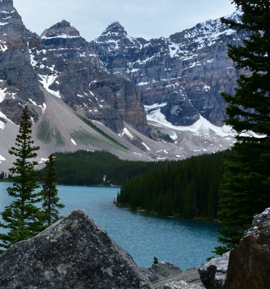 粉象生活投诉找谁