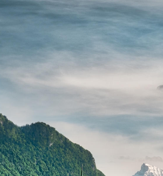 粉象生活下载官方正版