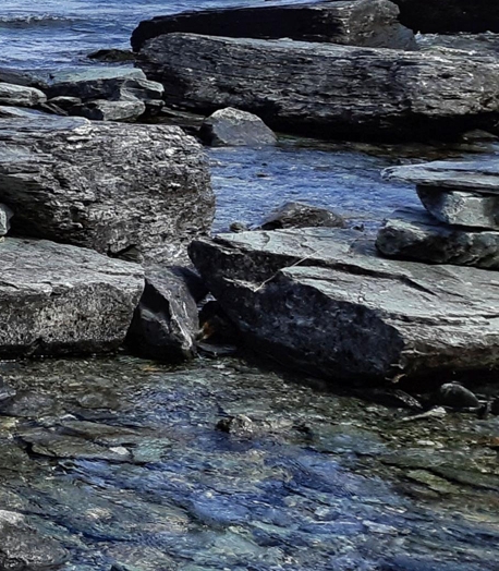 韶关粉象生活使用教程