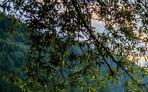 淘宝商家如何入驻粉象