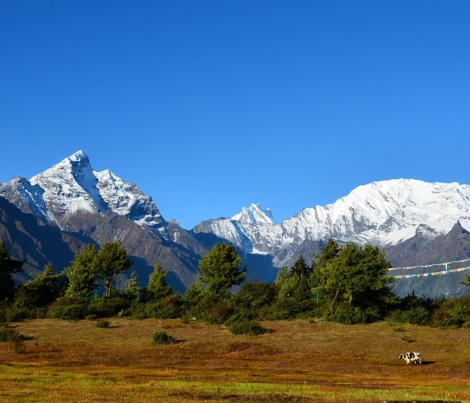 在日照生活怎么样