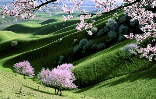 粉象生活能赚到钱吗