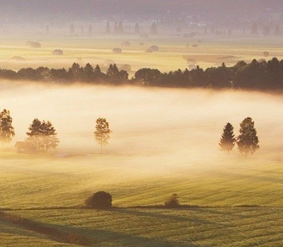 粉象生活怎么赚钱的