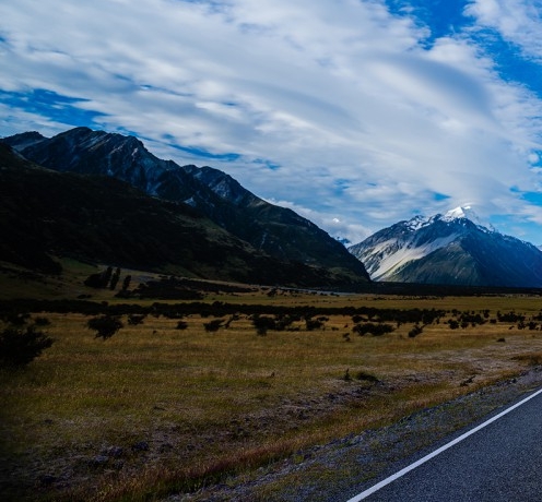 粉象生活是什么?