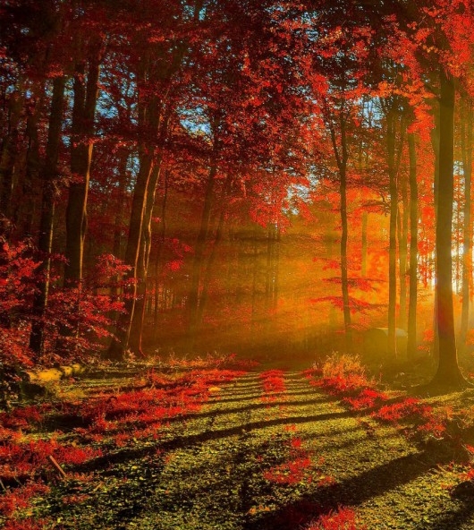 湛江粉象生活团队