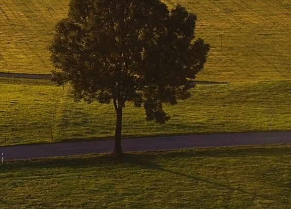 粉象生活邀请码