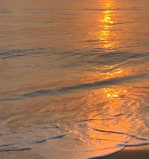 粉象生活怎么填