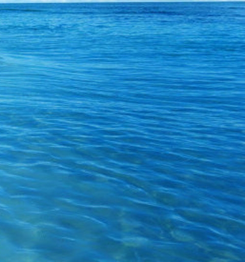 粉象生活怎么看物流