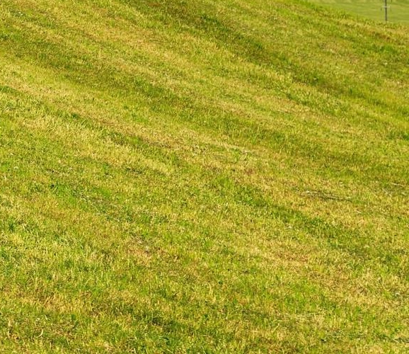 粉象生活怎么找优惠券