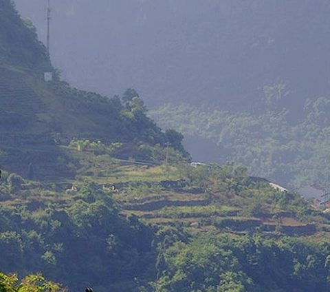 粉象生活代理条件