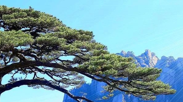 粉象生活2