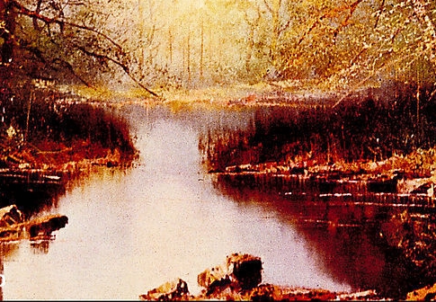 粉象生活神器视频