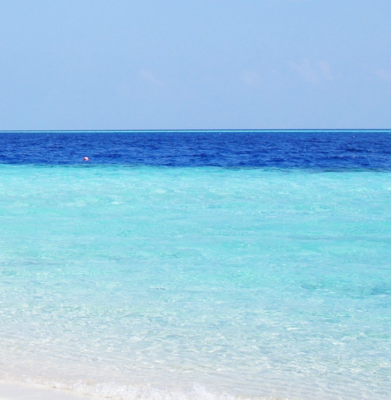 粉象生活创始人是谁