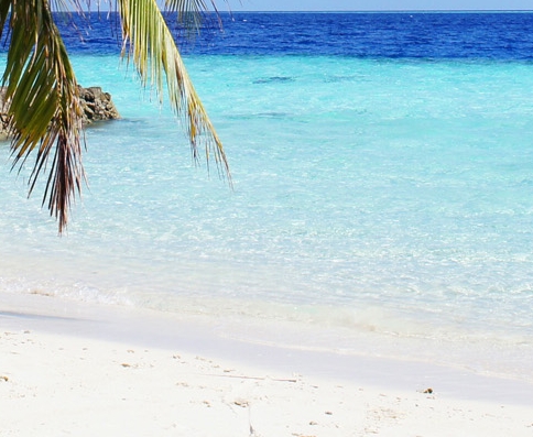 唯品会怎么关闭粉象生活