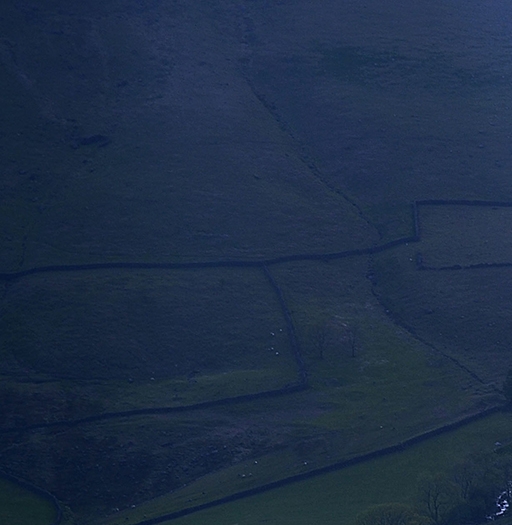 粉象生活推广技巧