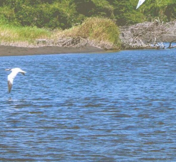 粉象生活怎么打造