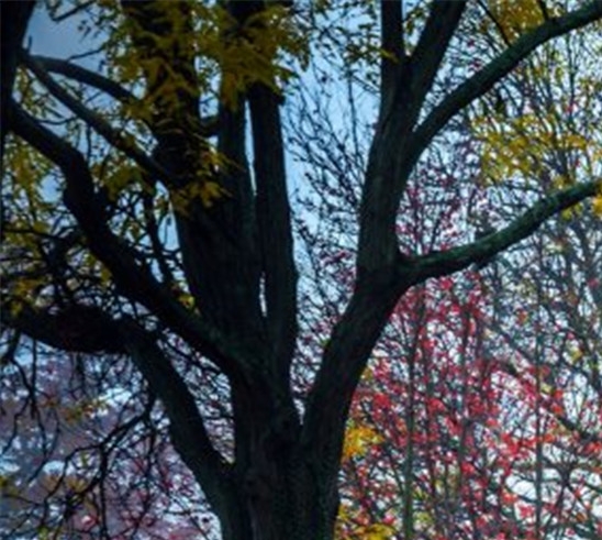 最新粉象生活新闻