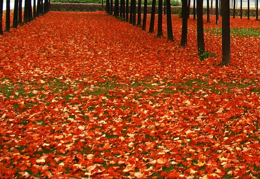粉象生活能赚到钱吗