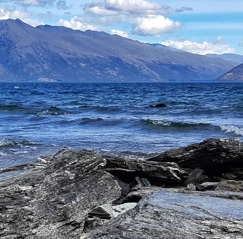 粉象生活咸鱼卖货