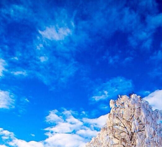 粉象生活能赚到钱吗