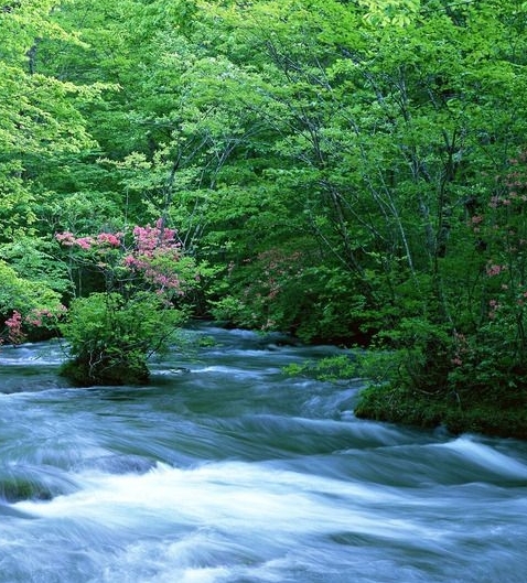 粉象生活升级后大概几天才看到收入