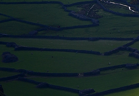 粉象生活拆红包是真的吗