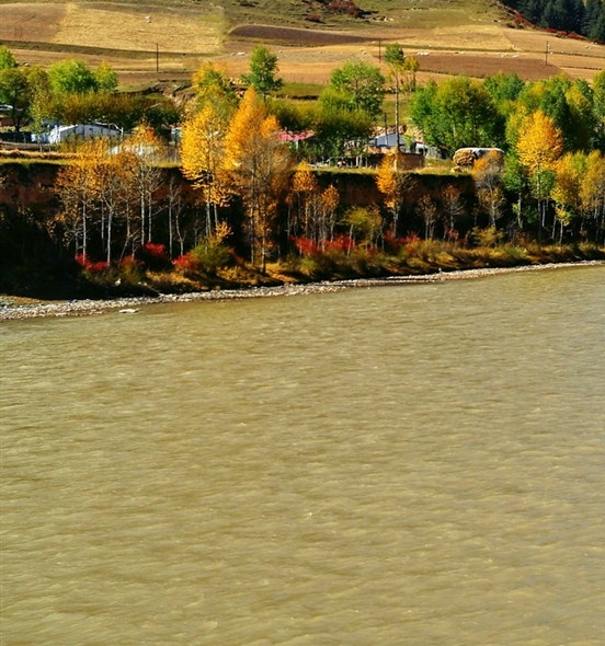 粉象生活能赚钱吗