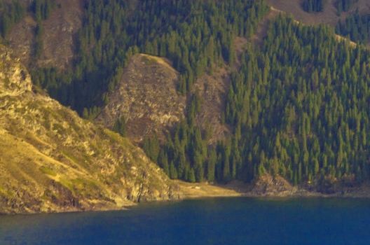 淘宝店家怎么入驻粉象生活