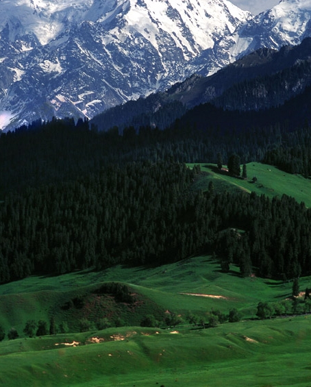 粉象生活是真的假的