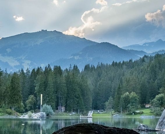 粉象生活是个坑