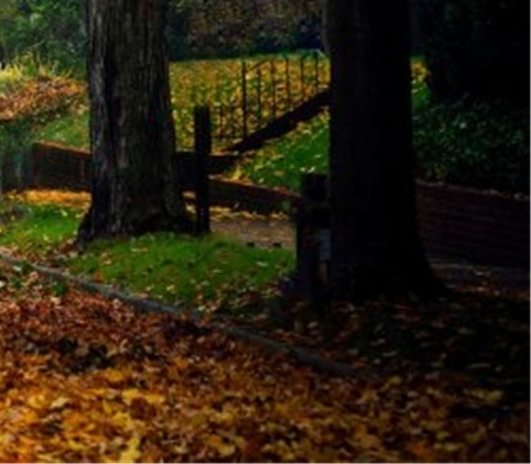 新手粉象生活怎么赚钱