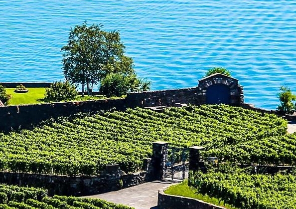 粉象生活是正规平台吗