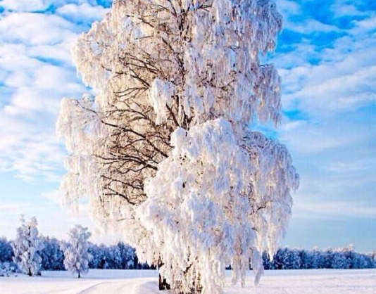 粉象生活粉丝怎么增加