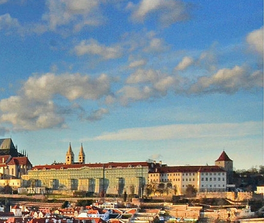 粉象生活app 官方码559252