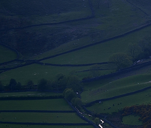 粉象生活能赚到钱吗
