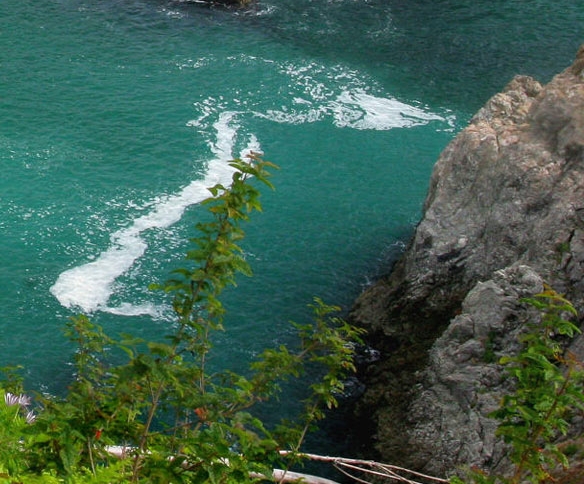 粉象生活小米